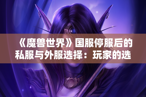 《魔兽世界》国服停服后的私服与外服选择:玩家的选择与风险 第1张 《魔兽世界》国服停服后的私服与外服选择:玩家的选择与风险 第1张