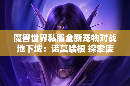魔兽世界私服全新宠物对战地下城：诺莫瑞根 探索废墟，驯服机械战宠！